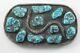 Sterling Silver Rattlesnake Boucle De Ceinture Turquoise Fred Harvey Style Sud-ouest